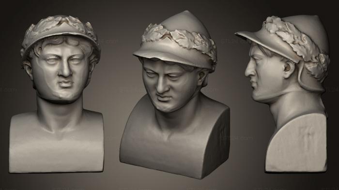 Бюсты и головы античные и исторические (Герма де Пирро де пир, BUSTA_0420) 3D модель для ЧПУ станка