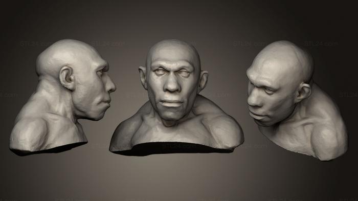Busts and heads antique and historical (Homo neanderthalensis, BUSTA_0427) 3D models for cnc