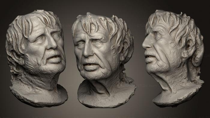 Busts and heads antique and historical (Louvre Pseudo Seneca Visual SFM, BUSTA_0443) 3D models for cnc