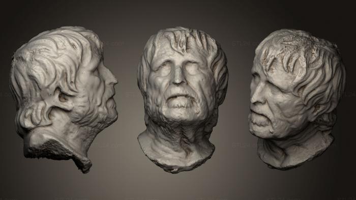 Бюсты и головы античные и исторические (Мраморная голова старика, BUSTA_0458) 3D модель для ЧПУ станка
