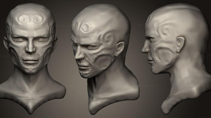 Busts and heads antique and historical (Midas Bust work in progress, BUSTA_0464) 3D models for cnc