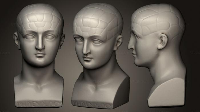 Busts and heads antique and historical (Plaster phrenological bust, BUSTA_0476) 3D models for cnc