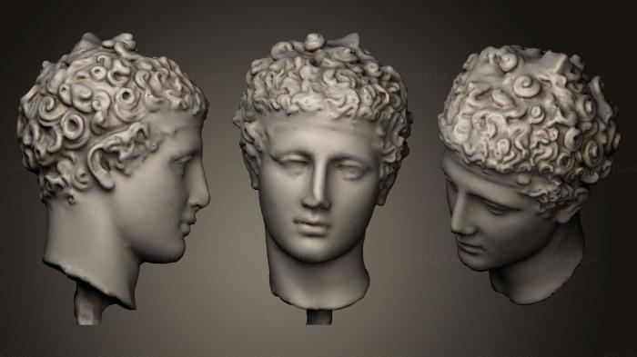 Busts and heads antique and historical (Roman bust of an Athlete, BUSTA_0491) 3D models for cnc