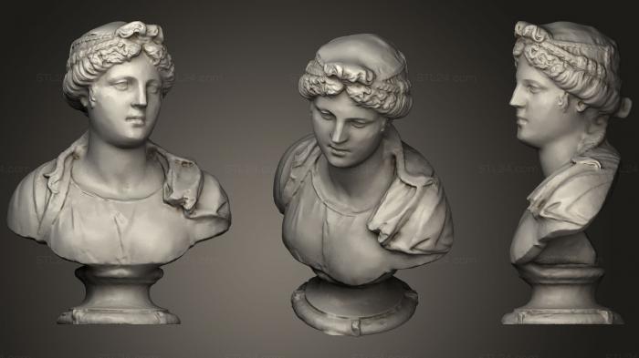 Бюсты и головы античные и исторические (Бюст молодой женщины Симоны Бьянко (статуя), BUSTA_0606) 3D модель для ЧПУ станка