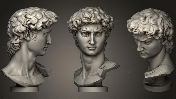 Бюсты и головы античные и исторические (Микеланджело Давид, BUSTA_0679) 3D модель для ЧПУ станка