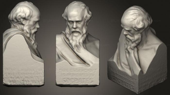 Бюсты и головы античные и исторические (Бюст Сократа, BUSTA_0756) 3D модель для ЧПУ станка