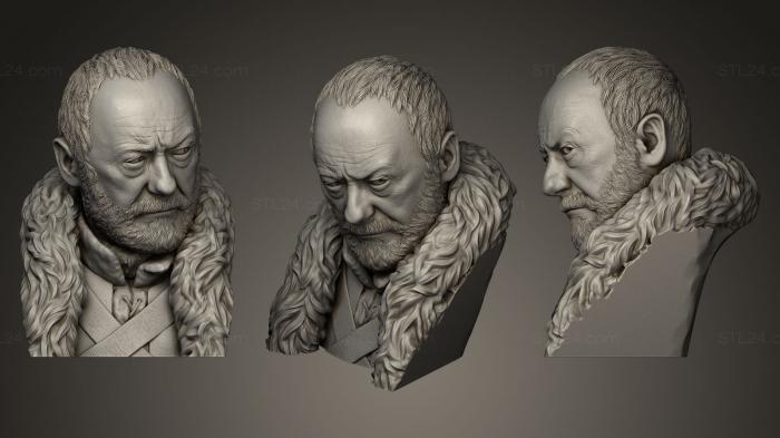 Бюсты и барельефы известных личностей (Давос Сиворт из «Игры престолов», BUSTC_0133) 3D модель для ЧПУ станка