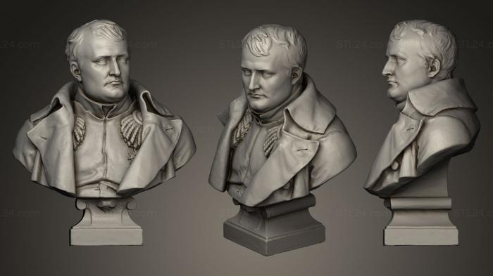 Бюсты и барельефы известных личностей (Наполеон Иер в 1812 г., BUSTC_0453) 3D модель для ЧПУ станка