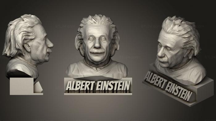Бюсты и барельефы известных личностей (Бюст Альберта Эйнштейна, Статуя, BUSTC_0858) 3D модель для ЧПУ станка