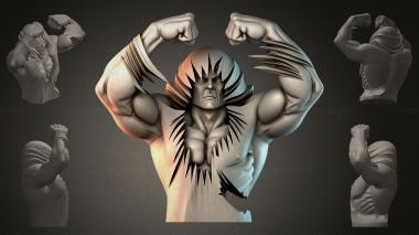 Fantasy busts Bust of a Muscular Man 3d model