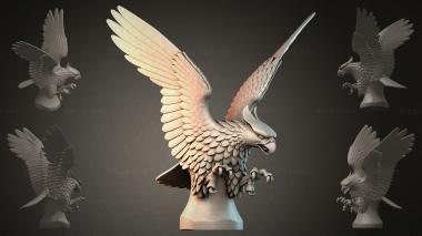 Fantasy busts Eagle sculpture with wings 3d model