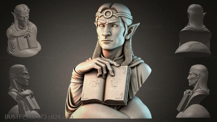 Эльф Хранитель Древней Книги