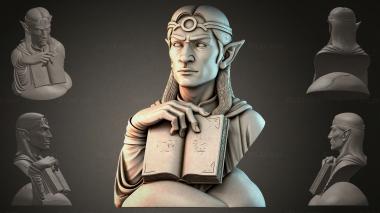 Fantasy busts Bust of an elf with a book 3d model