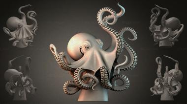 Fantasy busts Octopus on a stand 3d model