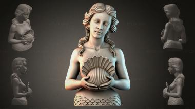Fantasy busts Mermaid bust with shell 3d model