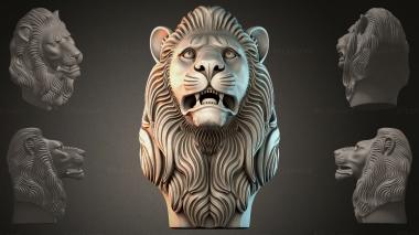 Fantasy busts Lions head 3d model