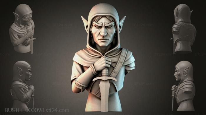Эльфийка Клинок Лунного Капюшона 3d STL model