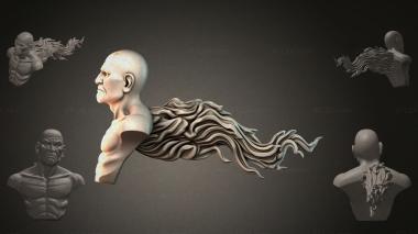 Fantasy busts Bust of a man with hair 3d model
