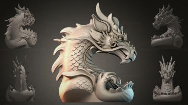 Fantasy busts Dragon head 3d model