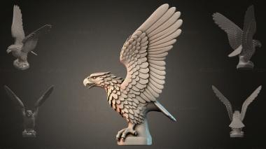 Fantasy busts Eagle sculpture with wings 3d model