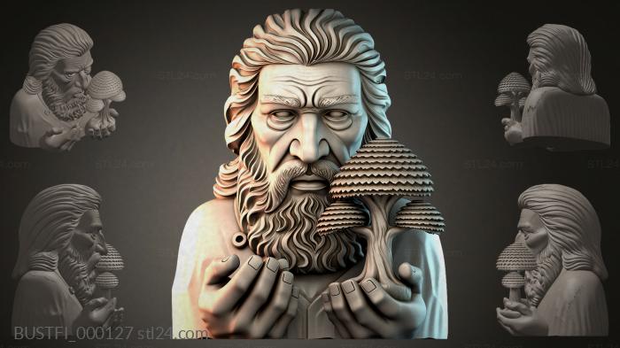 Торвальд Викинг Железной Бороды 3d STL model
