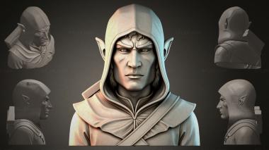Fantasy busts Hooded Elf Bust 3d model