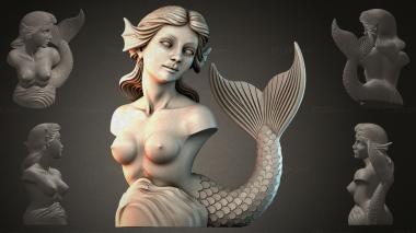 Fantasy busts Mermaid bust 3d model