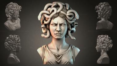 Fantasy busts Bust of Medusa 3d model