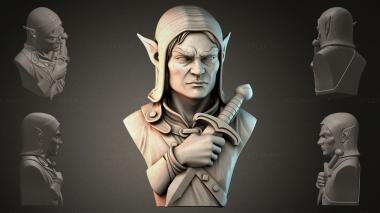 Fantasy busts Bust of an Elf with a Sword 3d model