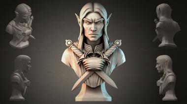 Fantasy busts Elf bust with daggers 3d model