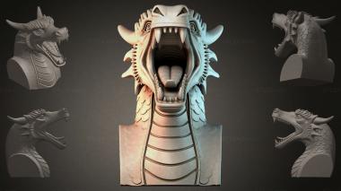 Fantasy busts Dragons Head 3d model