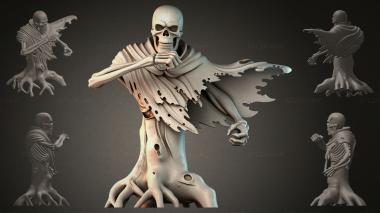 Fantasy busts Skeleton in a Cape 3d model