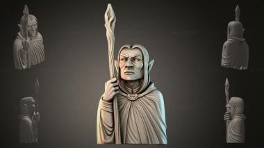 Fantasy busts Elf with a Staff 3d model