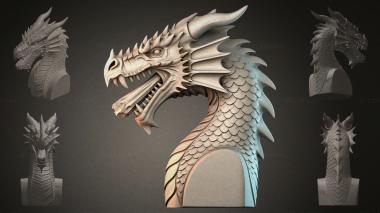 Fantasy busts Dragon Bust 3d model