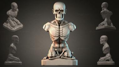Fantasy busts Skeleton bust statue 3d model