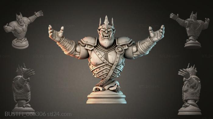 Бюсты фэнтези (BUSTFI_000306) 3D модель для ЧПУ станка