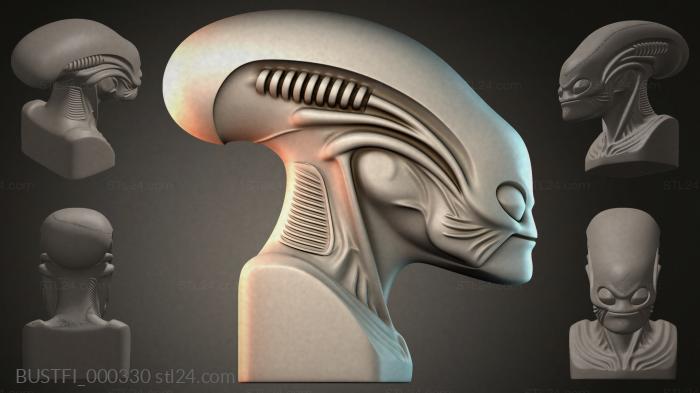 BUSTFI_000330