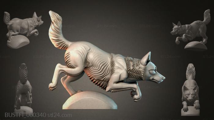 BUSTFI_000340