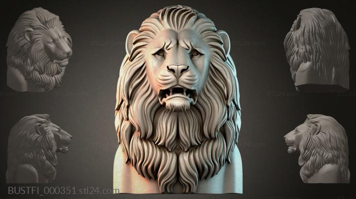 BUSTFI_000351