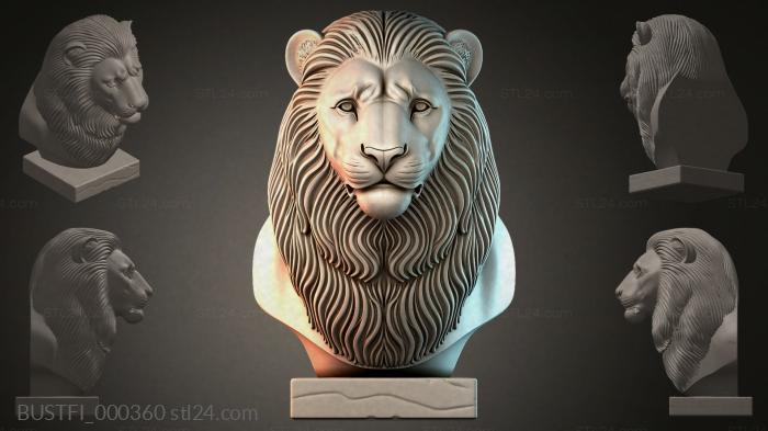 BUSTFI_000360