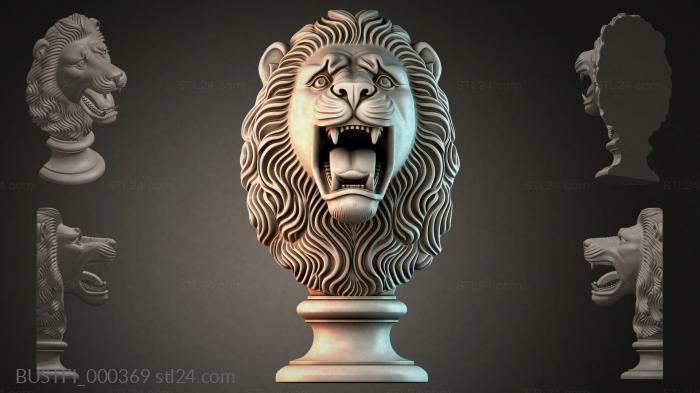 BUSTFI_000369