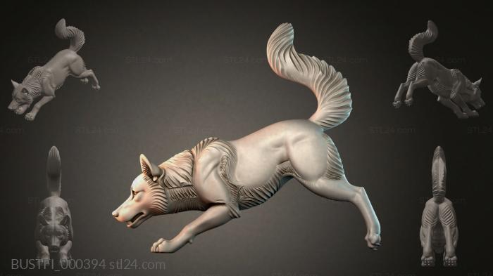 BUSTFI_000394