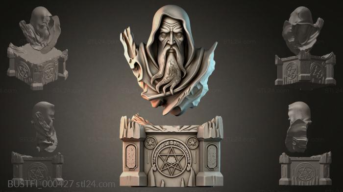 BUSTFI_000427 3d STL model