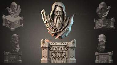 Fantasy busts Magical Wizard Statue 3d model