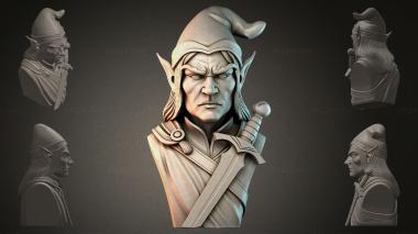 Fantasy busts Bust of an Elf with a Sword 3d model