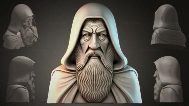 Fantasy busts Bust of a bearded old man 3d model