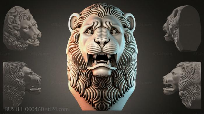 BUSTFI_000460 3d STL model