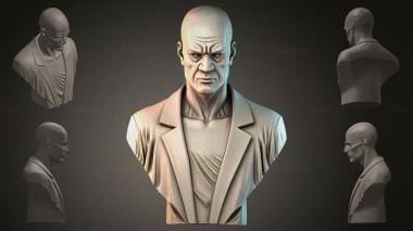 Fantasy busts Bust of a bald man 3d model