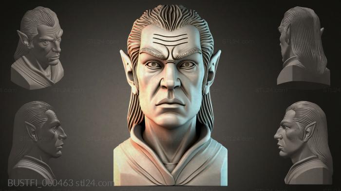 BUSTFI_000463 3d STL model