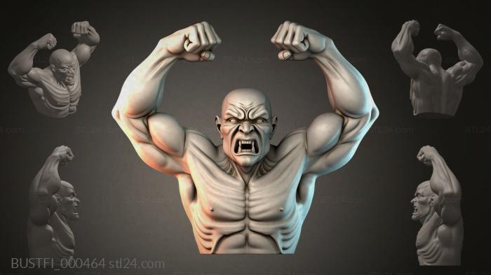 BUSTFI_000464 3d STL model